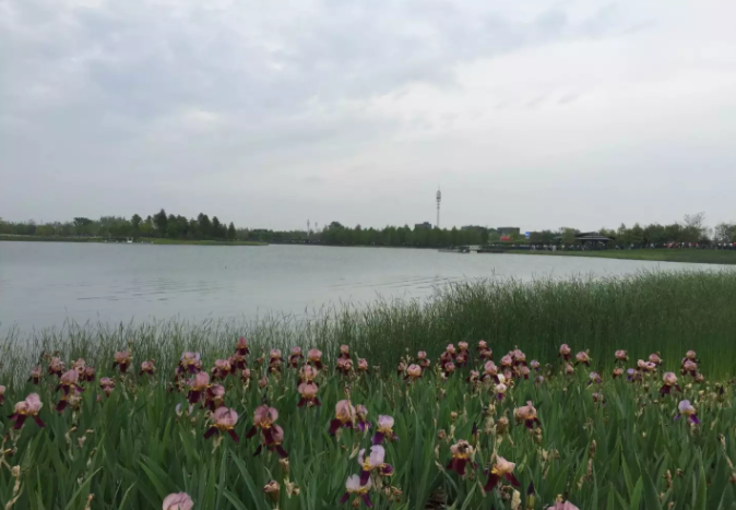 中南大學自考本科文憑有用嗎含金量如何?中南自考難嗎有哪些專業(yè)?