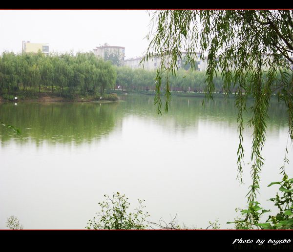 _(d)ĂýЌW(xu)ǰ_(d)ЌW(xu)_(d)һĂã