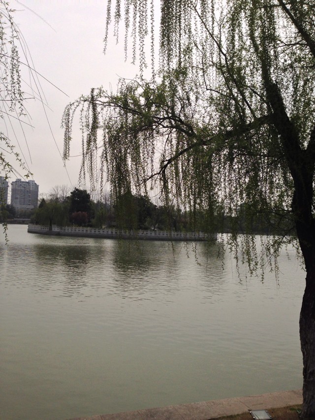 ~sW(xu)؇(gu)J(rn)ɶȸ߆~sW(xu)؇(gu)ҹнY(bo)Σ