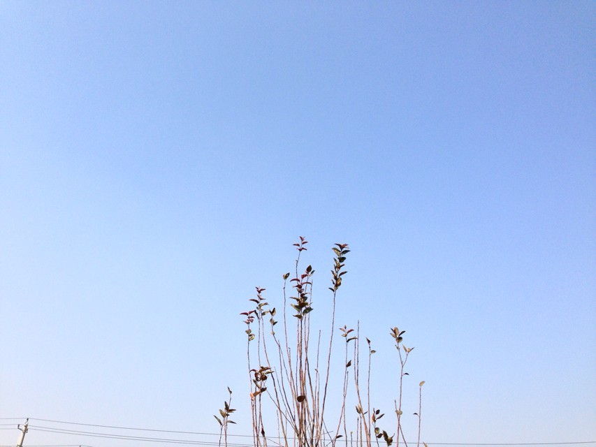 ͯW(xu)ӢZĂܛǰʮa(chn)ppmϳW(xu)ߵܛ]