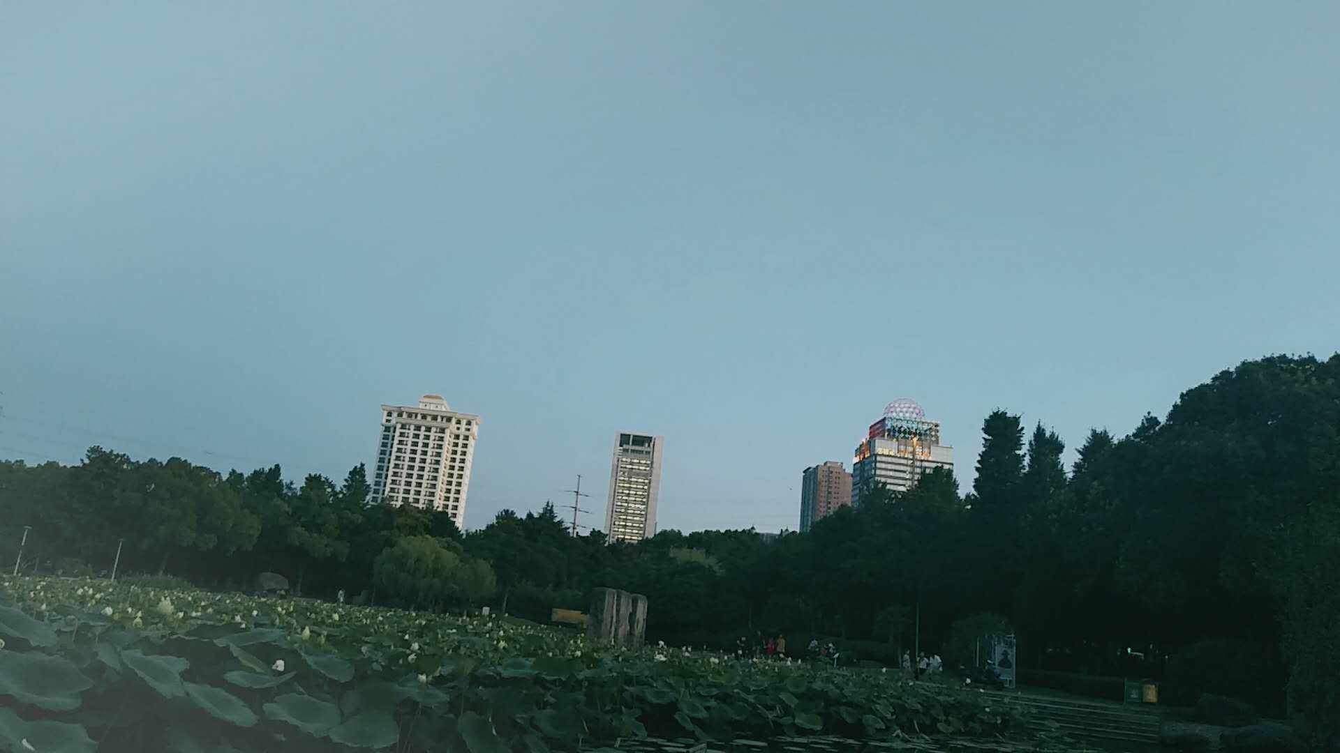̎YCꌏһҪʲôϣ˲ϸôk