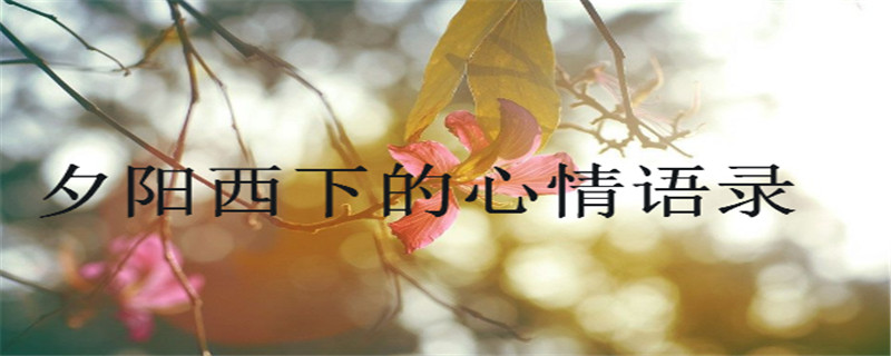 盤(pán)點(diǎn)夕陽(yáng)西下的心情語(yǔ)錄,適合發(fā)日落的朋友圈