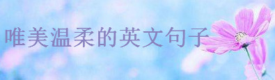 20ΨСµӢĶ̾伯\СsܜӢľ