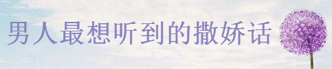 Pc20 Ԓ{(dio)Ƥı_