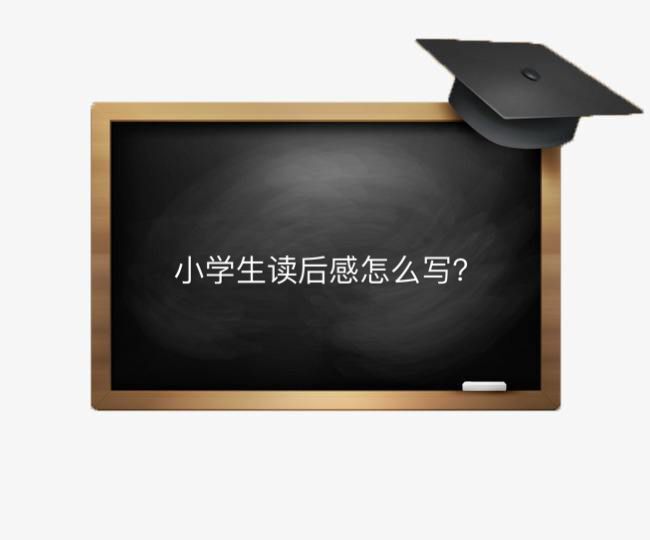 小學(xué)生讀后感怎么寫才好？有哪些寫作方法和技巧？