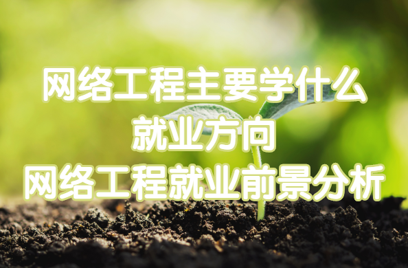 W(wng)j(lu)ҪW(xu)ʲô͘I(y) 2022W(wng)j(lu)̾͘I(y)ǰ