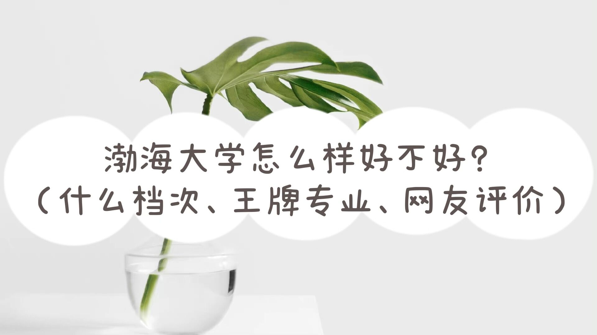 W(xu)ôӺòãʲônƌI(y)W(wng)u(png)r(ji)